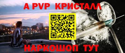 стафф Будённовск