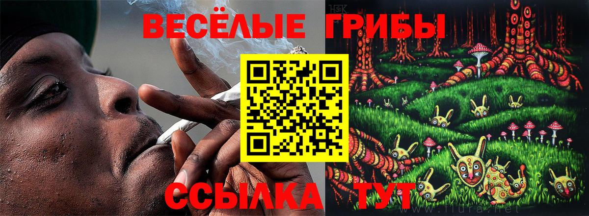 Малгобек  Галлюциногенные грибы Psilocybe  Галлюциногенные грибы Psilocybine cubensis  Вход с VPN 